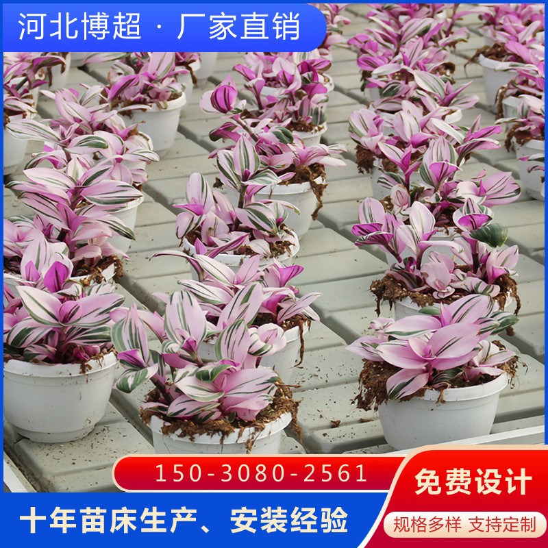 ��ϫʽ�Ƅ��紲