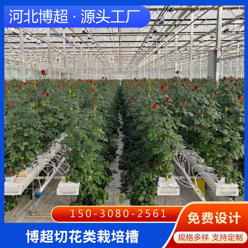 �л��(l��i)�����