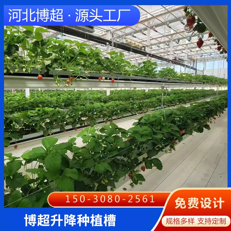 �����(l��i)�����