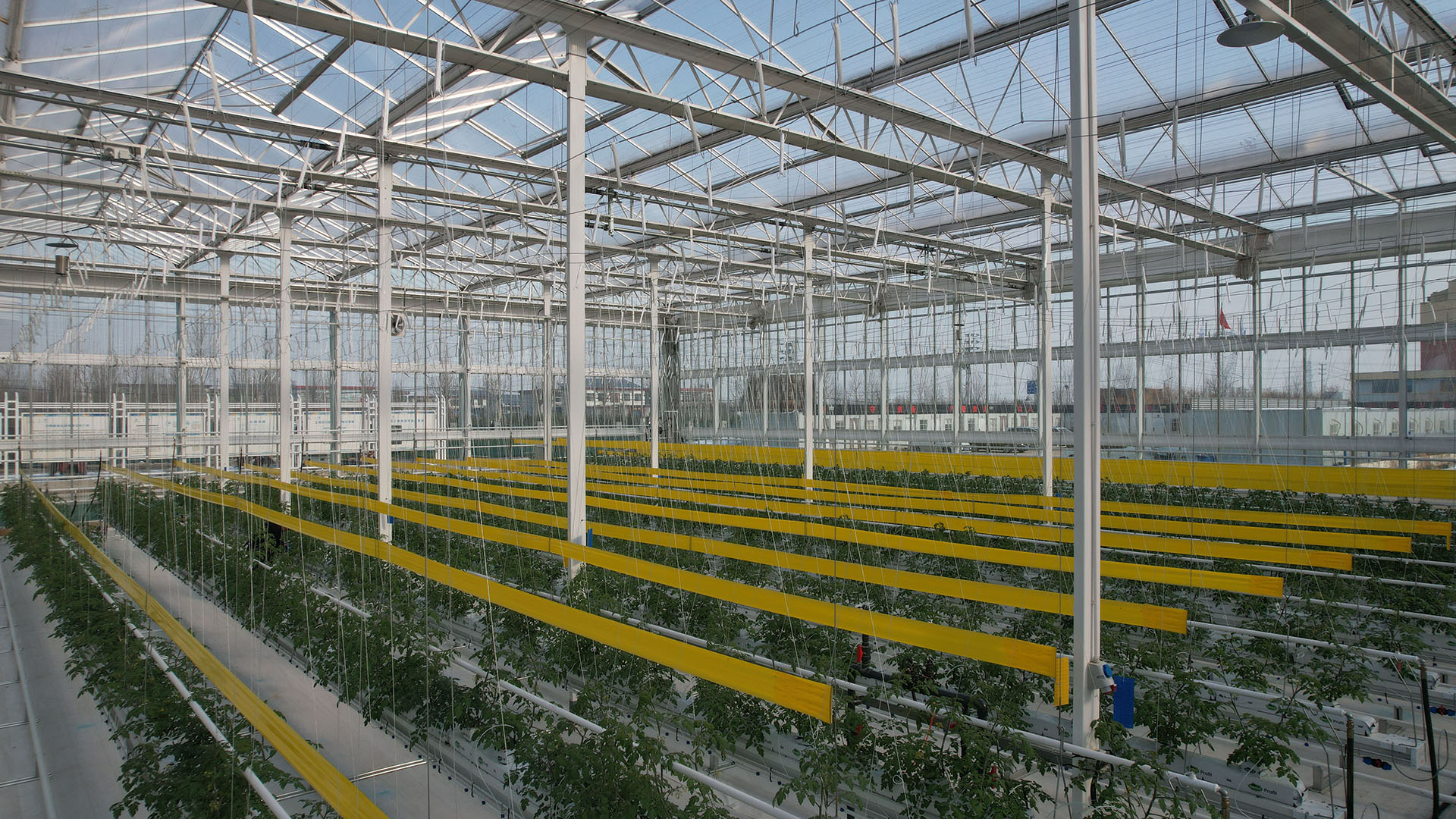 2023�?0�?�����Q�� �Ғ�ʽ����� 10.5�f(w��n)ƽ .jpg